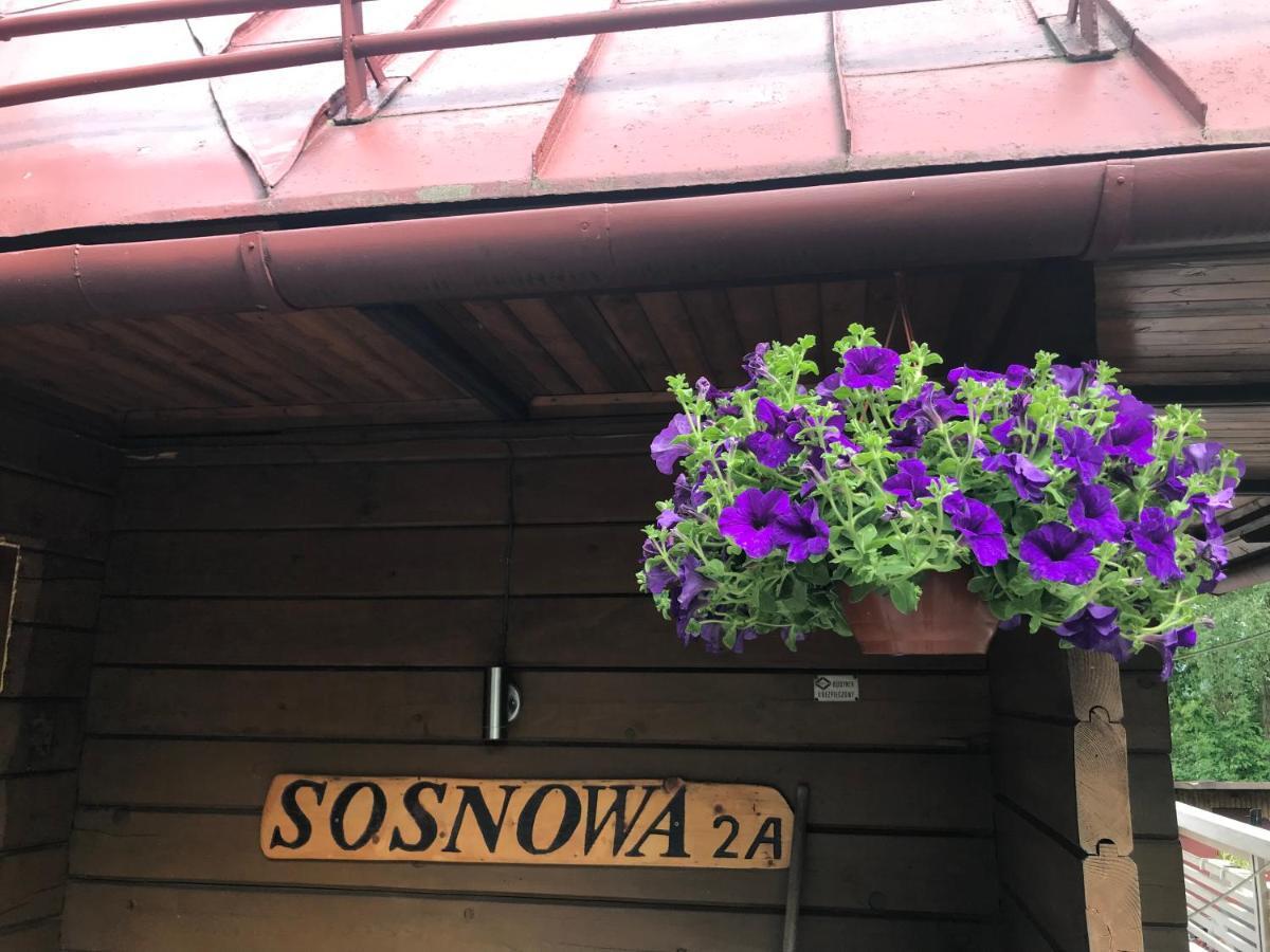 Vila Sosnowy Zakatek Visla Exteriér fotografie