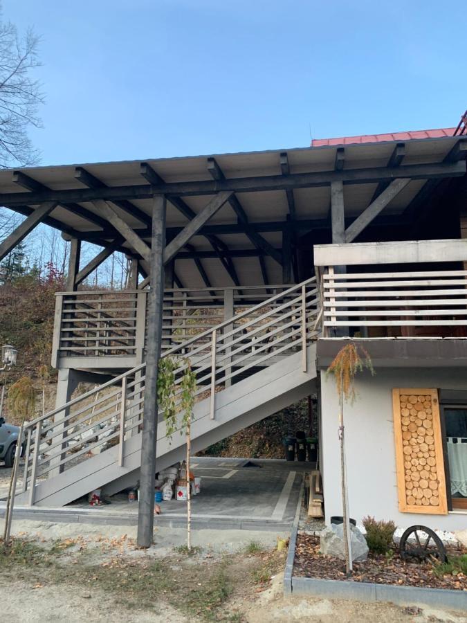 Vila Sosnowy Zakatek Visla Exteriér fotografie